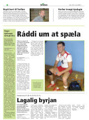 Síða 20