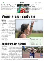 Síða 22