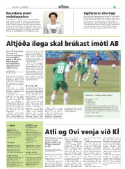 Síða 29