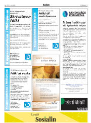 Síða 17
