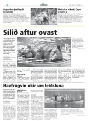 Síða 28