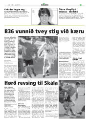 Síða 29