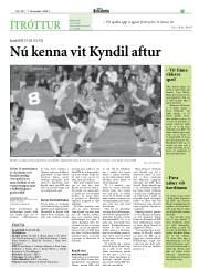 Síða 31