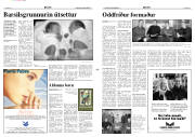 Síða 3