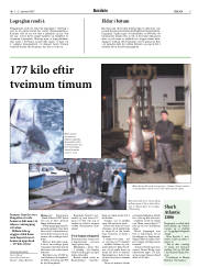Síða 5