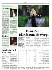 Síða 20