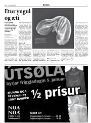 Síða 7