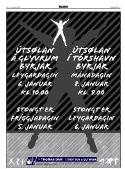 Síða 17