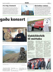 Síða 17