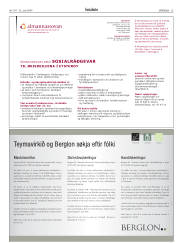 Síða 25