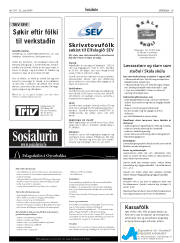 Síða 29