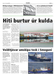 Síða 7