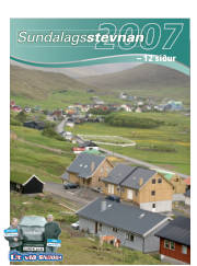 Síða 21