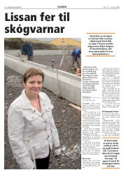 Síða 28