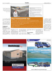 Síða 29