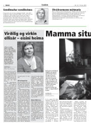 Síða 8