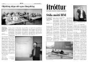 Síða 8