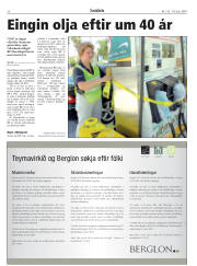 Síða 20