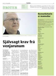 Síða 29