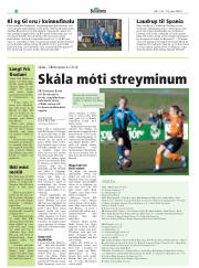 Síða 30