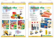 Síða 11