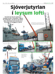 Síða 15