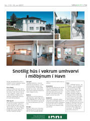 Síða 19