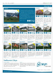 Síða 21