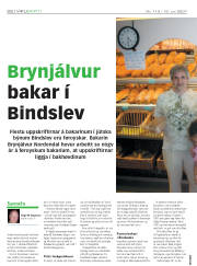 Síða 22