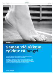 Síða 3