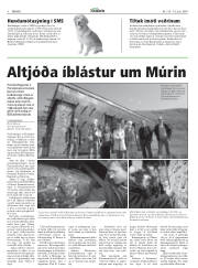 Síða 8