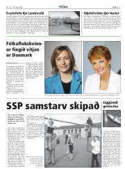 Síða 15