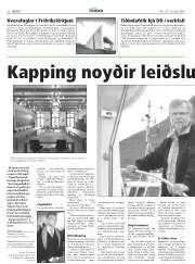 Síða 20