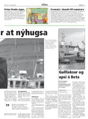 Síða 21