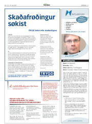 Síða 31