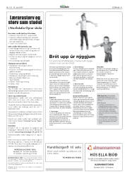 Síða 41