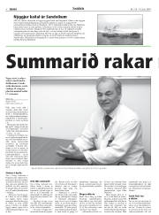 Síða 8
