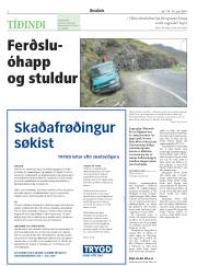Síða 2