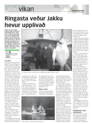 Síða 19