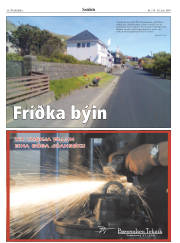 Síða 30