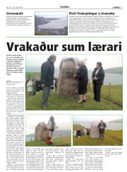 Síða 31