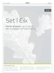 Síða 3