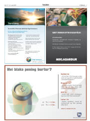 Síða 5