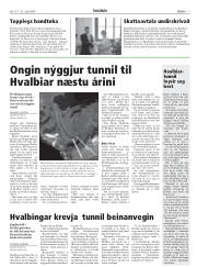 Síða 7