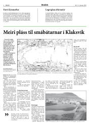 Síða 8