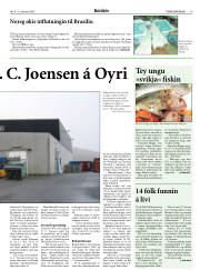 Síða 19