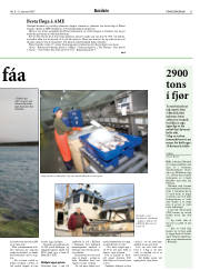 Síða 21