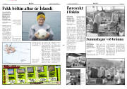 Síða 2