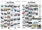 Síða 9