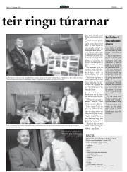 Síða 17